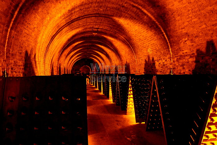 Bild 1 FRANKREICH / Champagne  -  Wein-Studien-Reise