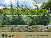 Bild 2 Das Weinbaunetz Blau ist die Lösung für guten Schutz Ihrer Reben!
