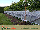 Bild 4 Das Weinbaunetz Blau ist die Lösung für guten Schutz Ihrer Reben!