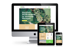 Bild 3 VINOVISIO - Webseiten & Shopsysteme