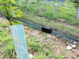 Bild 3 JACKET WEINGARTENABDECKUNG - Professioneller Schutz für den Weinbau