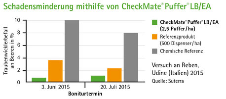 Bild 6 Traubenwickler effizient bekämpfen mit CheckMate® Puffer® LB/EA