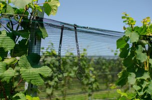 Bild 2 JACKET WEINGARTENABDECKUNG - Professioneller Schutz für den Weinbau