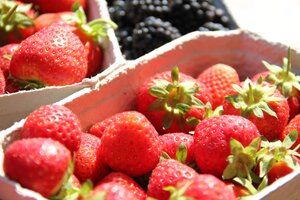 Bild 2 Ausbildungs- und Forschungseinrichtung für Weinbau und Obstbau