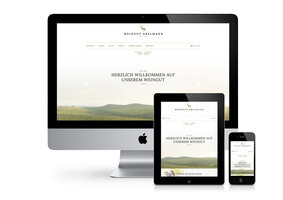 Bild 1 VINOVISIO - Webseiten & Shopsysteme