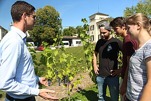 Bild 3 Ausbildungs- und Forschungseinrichtung für Weinbau und Obstbau