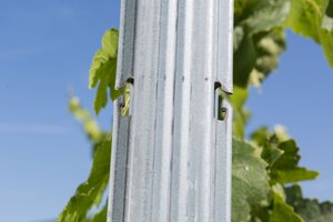 Bild 3 artos Weinbergpfähle für den Wein-, Obst- und Zaunbau