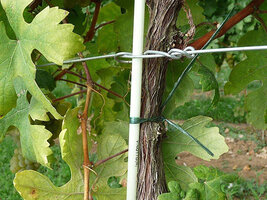 Bild 8 Schuhmacher GmbH Philippsburg - Ihr Partner für Weinbaubedarf