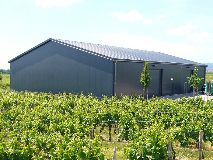 Die optimale Halle für Ihr Weingut: Worauf kommt es an?