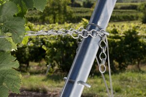 Bild 2 artos Weinbergpfähle für den Wein-, Obst- und Zaunbau