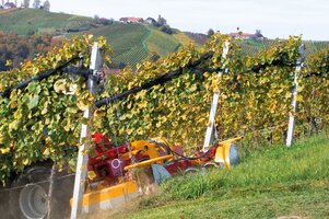 Bild 3 Breitenverstellbare LMG Mulchgeräte Mit Unterstockgeräten kombinierbar