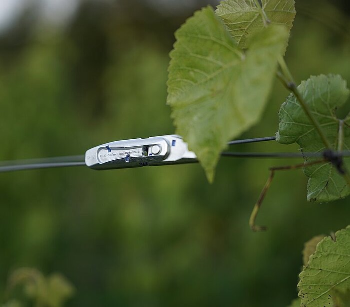 Produkte für den Wein- und Obstbau