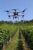 Bild 6 Ausbildungs- und Forschungseinrichtung für Weinbau und Obstbau