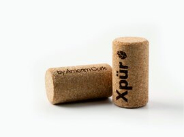 Bild 4 Our world is cork