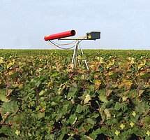 Bild 1 Erfolgreiche und Effiziente Vogelabwehr im Weinbau mit Purivox