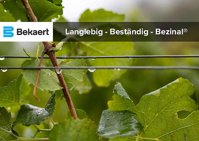 Bekaert Bezinal® Weinbergdraht