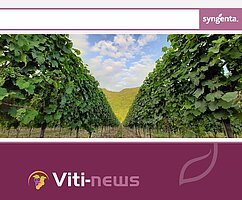 Bild 1 Service Weinbau - aktuelle Informationen und Übersichten