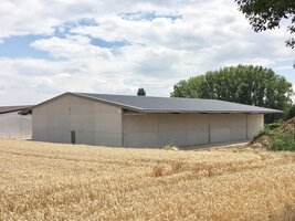 Bild 6 Die optimale Halle für Ihr Weingut: Worauf kommt es an?
