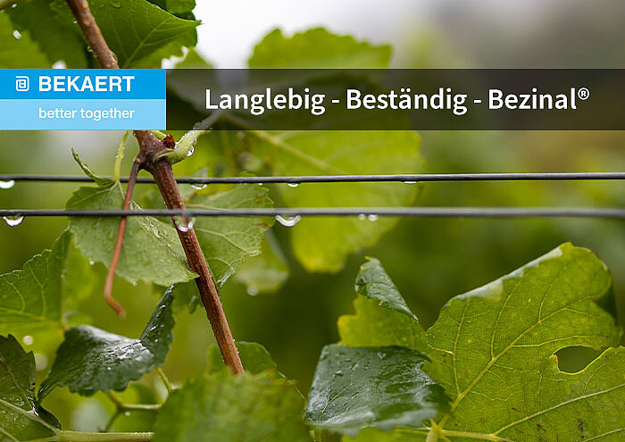 Bekaert Bezinal® Weinbergdraht