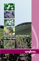 Bild 4 Service Weinbau - aktuelle Informationen und Übersichten