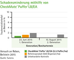 Bild 5 Traubenwickler effizient bekämpfen mit CheckMate® Puffer® LB/EA