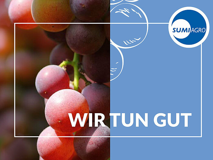 Sumi Agro – Weinbau-Kompetenz