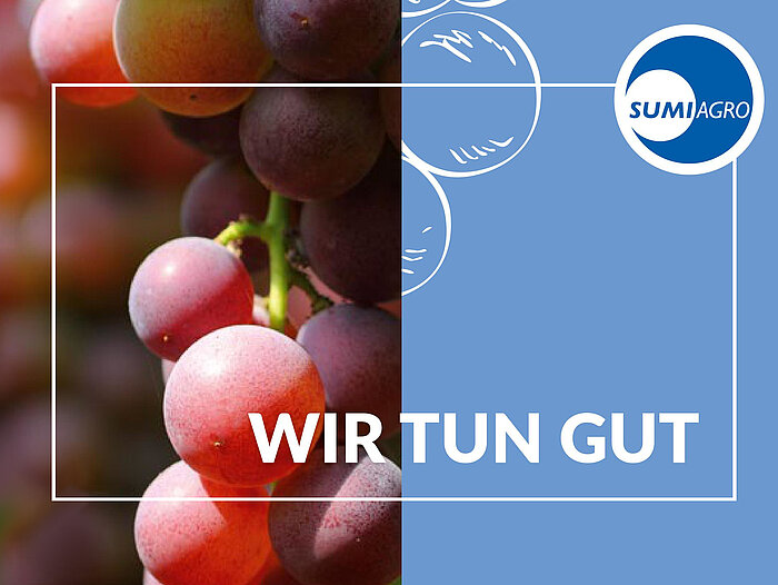 Sumi Agro – Weinbau-Kompetenz