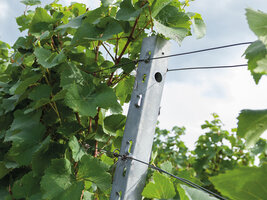 Bild 3 Produkte für den Wein- und Obstbau