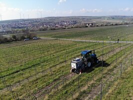 Bild 3 ZASSO XPS Elektroherbizid
