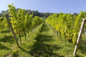 Bild 1 Rundum-Schutz aller landwirtschaftlichen Risiken in ganz Deutschland