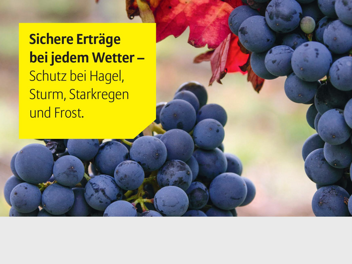 Rundum-Schutz aller landwirtschaftlichen Risiken in ganz Deutschland