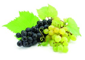 Bild 3 Lebosol®-HeptaEisen - Zur Vorbeugung und Behebung von Eisenchlorosen