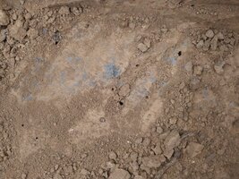 Bild 5 BASANIT extra - Urgesteinsmehl - Aus der Natur für die Natur