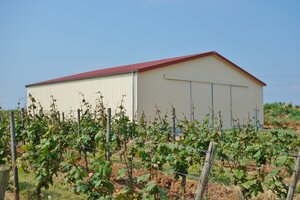Bild 1 Die optimale Halle für Ihr Weingut: Worauf kommt es an?