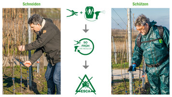Bild 1 Ihr innovativer Partner im Weinbau Tessior® System