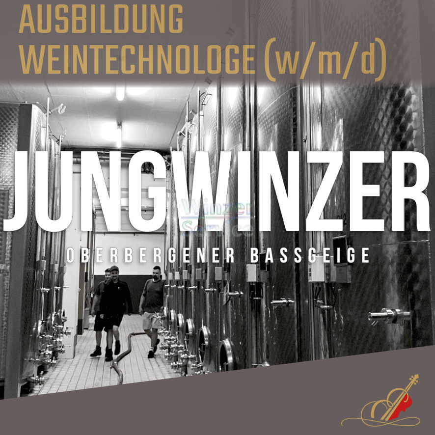 Ausbildungsplatz Weintechnologe (m/w/d) zum 1.09.24