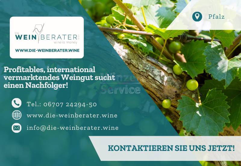 Profitables Weingut in der Pfalz zu verkaufen 