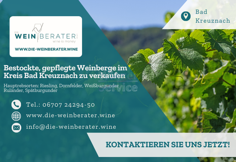 Bestockte Weinberge im Kreis Bad Kreuznach zu verkaufen