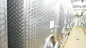 Bild 4 5.580 Liter Lagertank, Weintank kubisch mit Flachboden