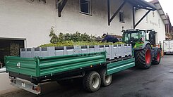 Anhänger Tandem Plattformwagen Traubentransport