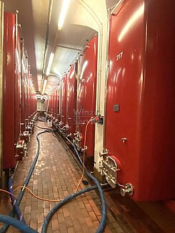 Weisswein-Gär und Lagertank-Anlage Total 707 575 Liter