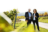 Bild 2 Profitables Weingut in der Pfalz zu verkaufen 