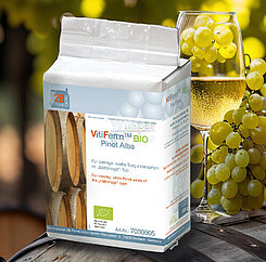 VitiFerm™ BIO Pinot Alba für komplexe, cremige Weißweine