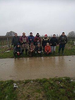 Lohnarbeiten im Weinbau