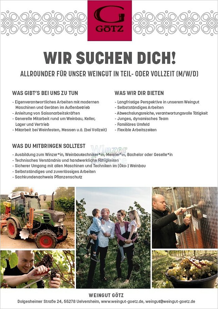 Bild 1 Bio-Weingut in Rheinhessen sucht Winzer (m/w/d) 
