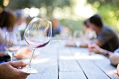 Heitlinger Weinbusiness-Beratung - Ihre Berater & Vermittler