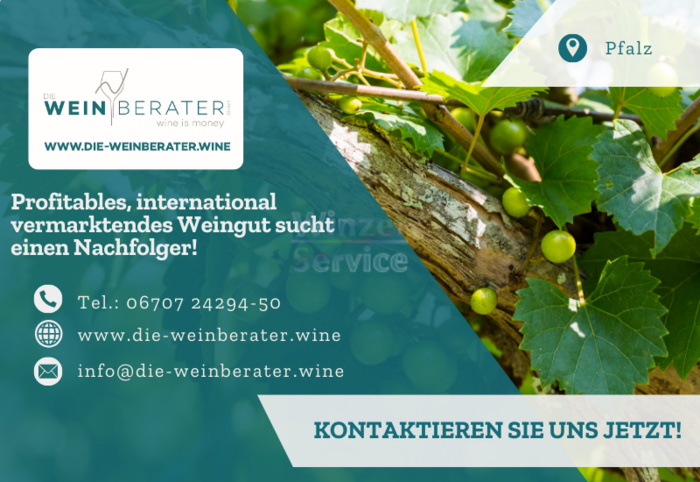 Bild 1 Profitables Weingut in der Pfalz zu verkaufen 