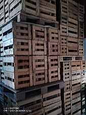 Bild 2 400 Holzsteigen mit gebr. Flaschen