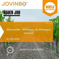 Allrounder Weinbau (m/w/d) 
