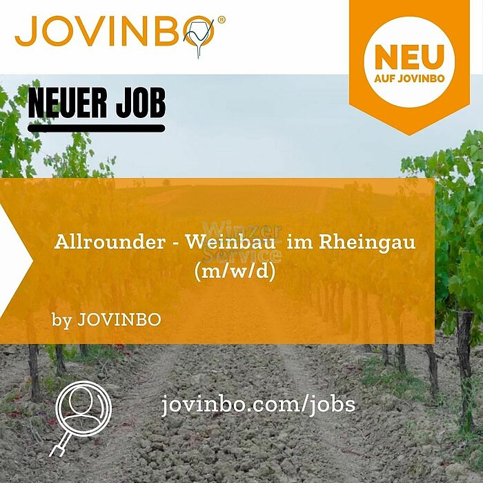 Bild 1 Allrounder Weinbau (m/w/d) 